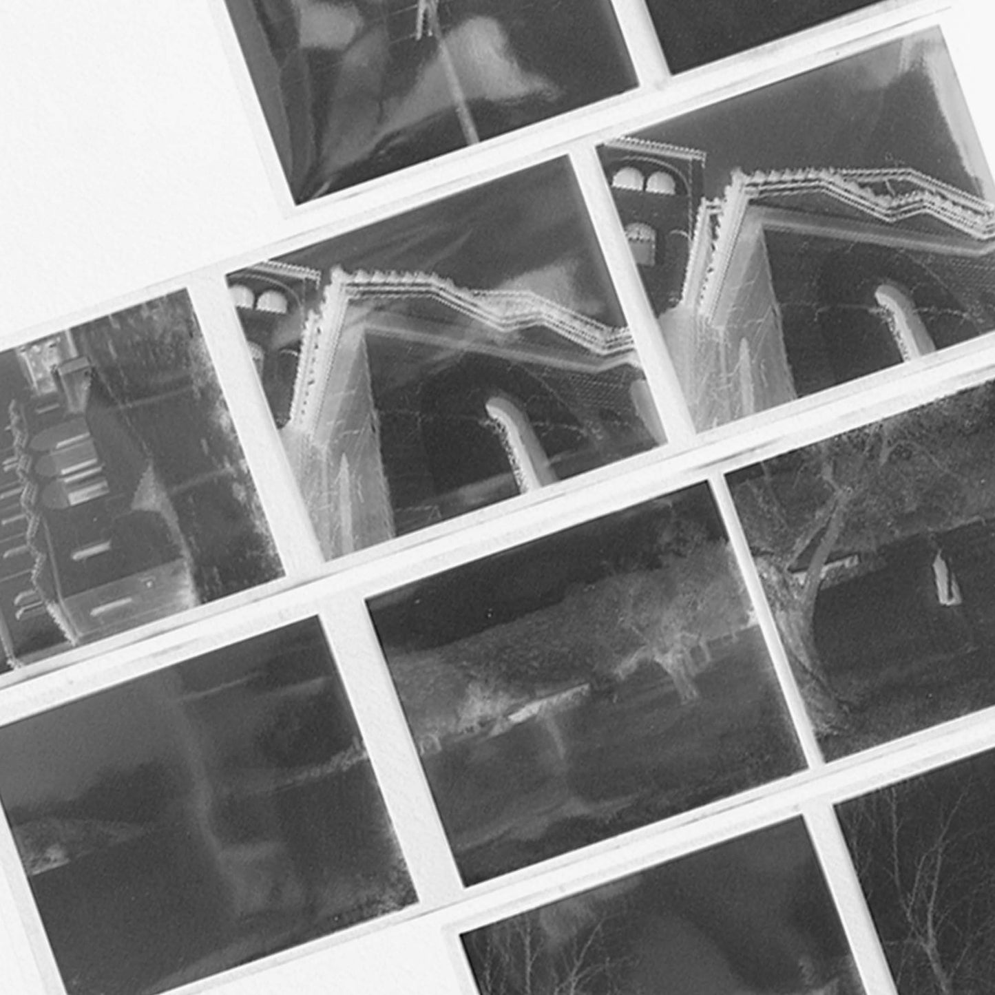 B&W 120 Dev Only (7 Day)