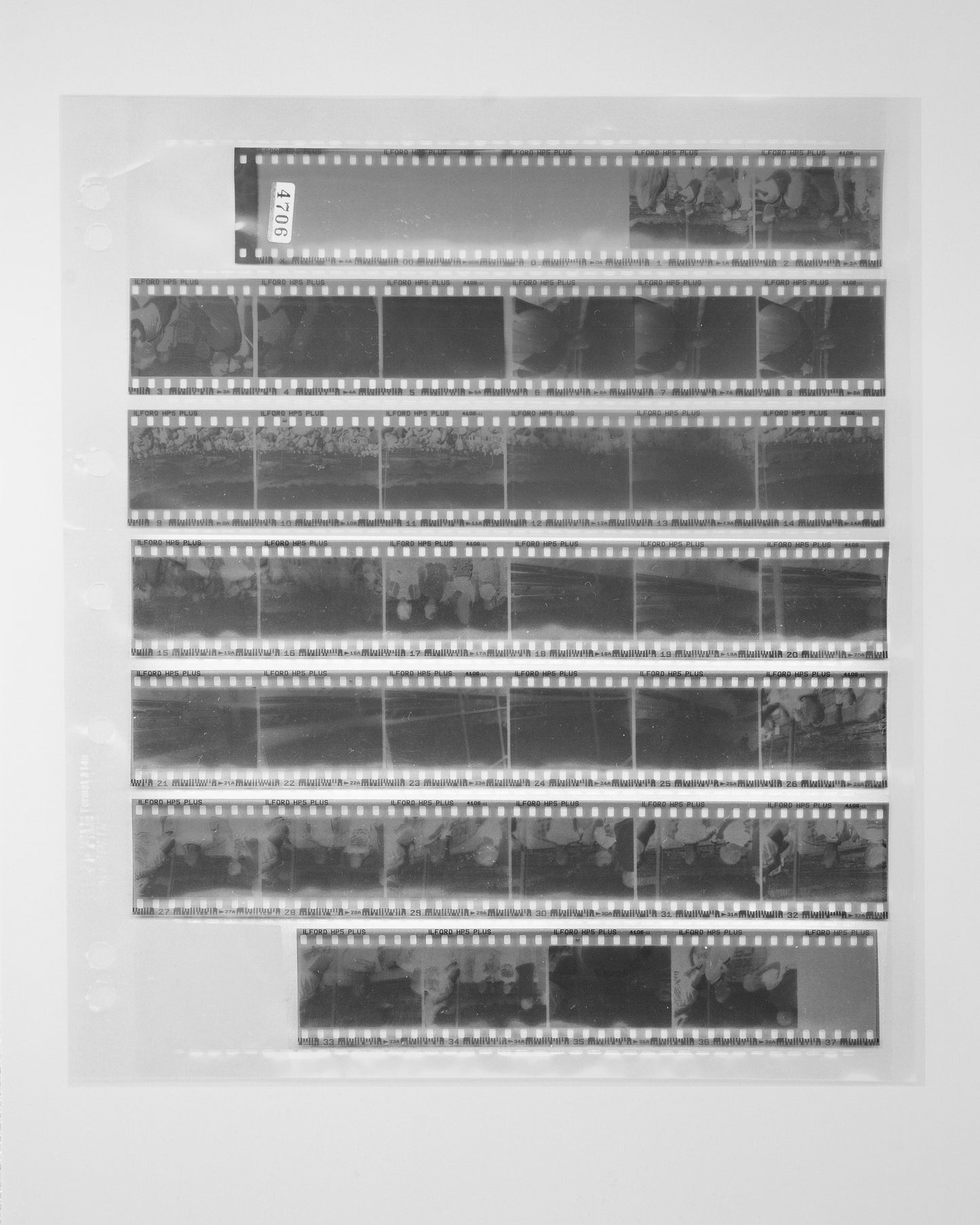 B&W 35mm Dev Only (7 Day)