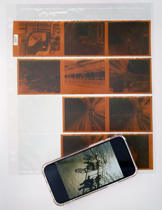 Colour (C41) 120 Dev & Scan