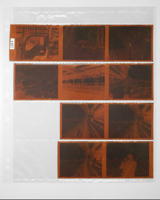 Colour (C41) 120 Dev Only