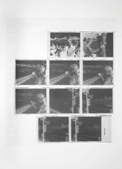 B&W 120 Dev, Scan & Traditional Contact Print
