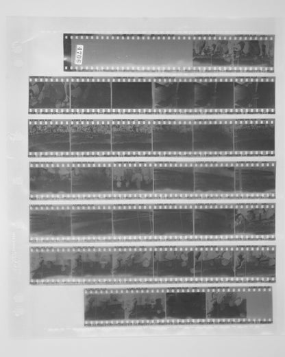 B&W 35mm Dev, Traditional Contact Print & Print Scan