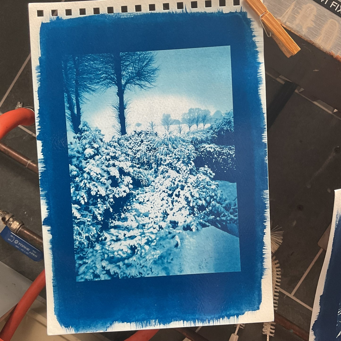 Exploring Cyanotype Printing (4 hr)