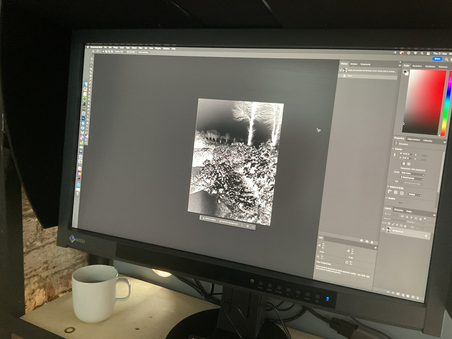 Exploring Cyanotype Printing (4 hr)