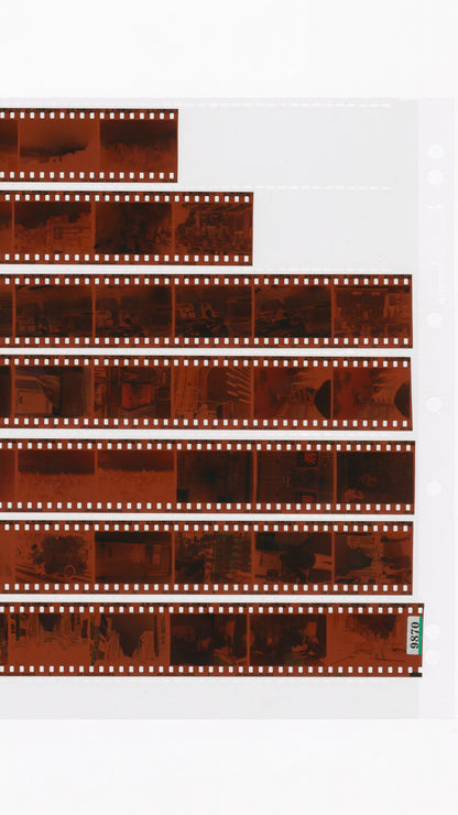 Colour (C41) 35mm Dev & Scan