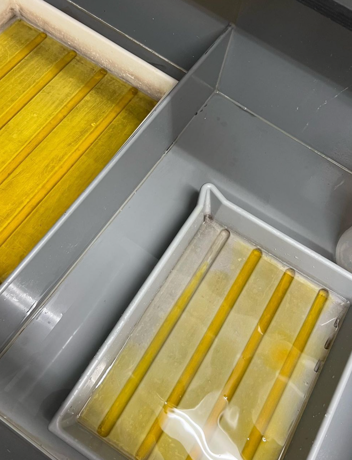 B&W Film Processing and Printing (6 hrs)