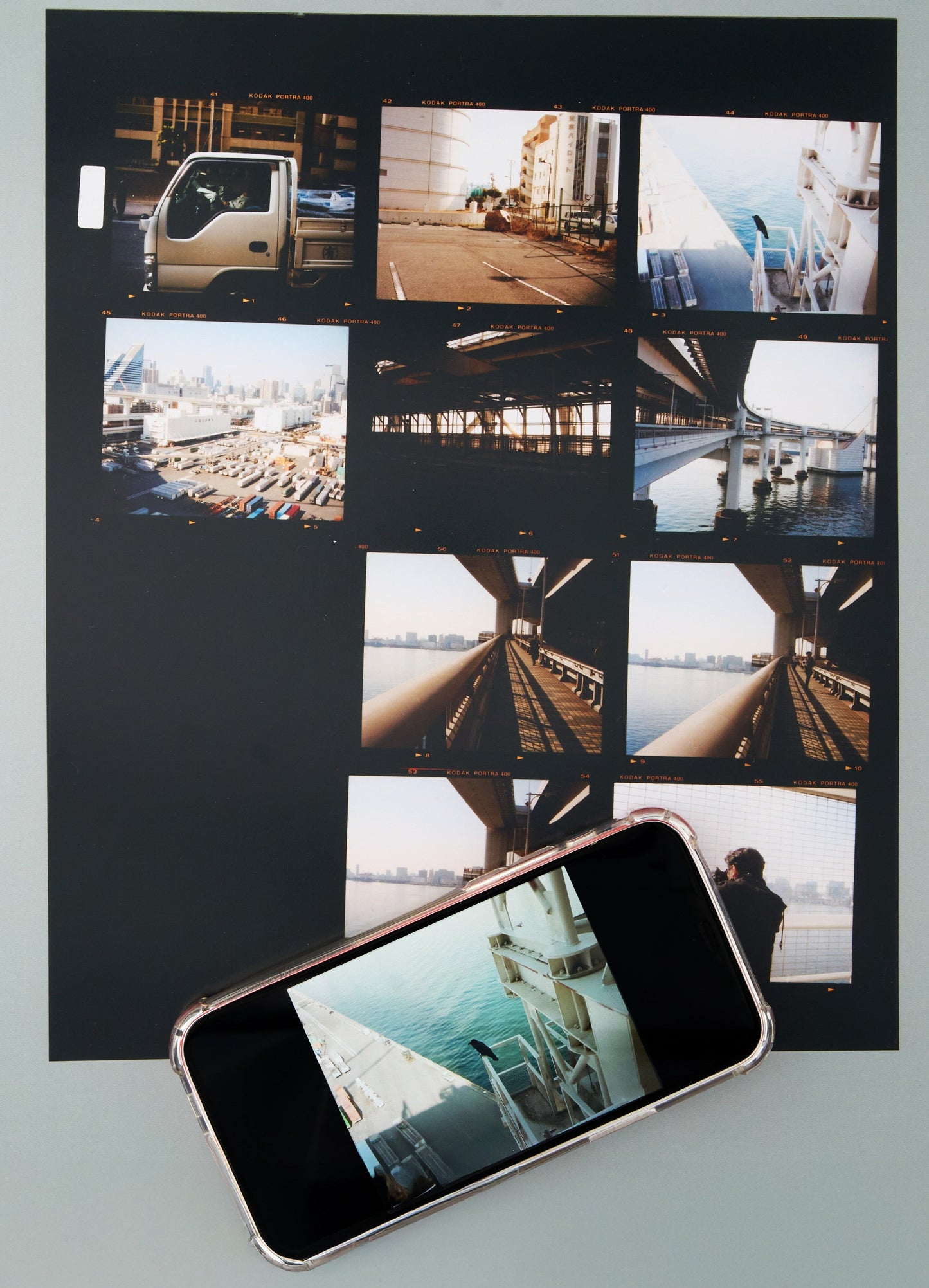 Colour (C41) 120 Dev, Scan & Traditional Contact Print