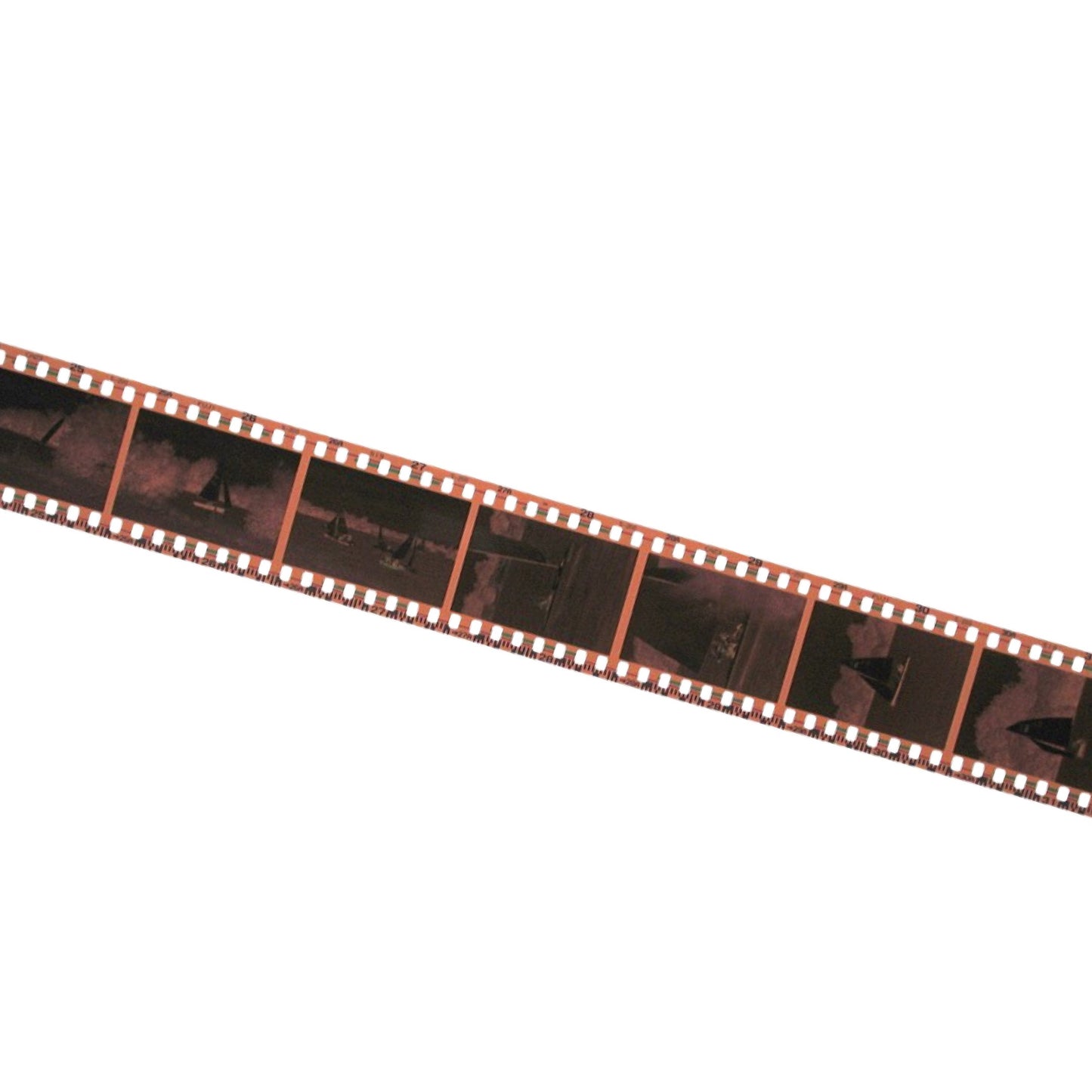 Colour (C41) 35mm Dev & Scan (7 Day)